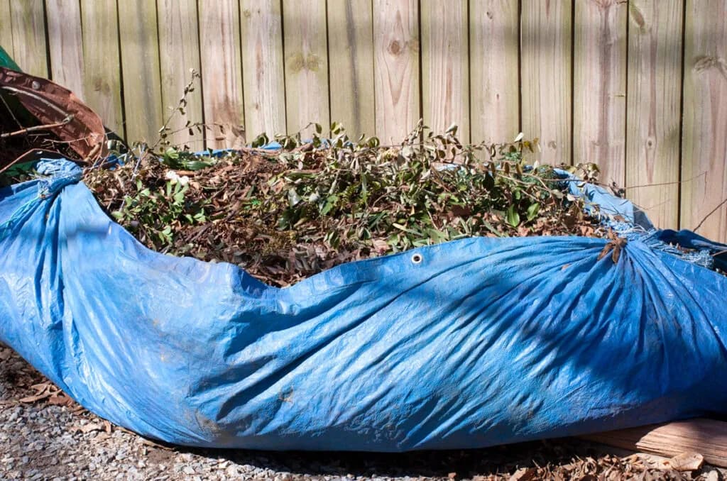 Branches and leaves gathered on a blue tarp against a wooden fence